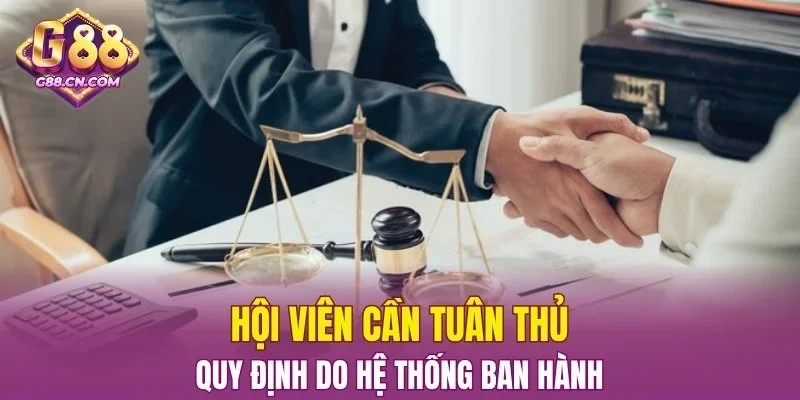 Hội viên cần tuân thủ quy định do hệ thống ban hành