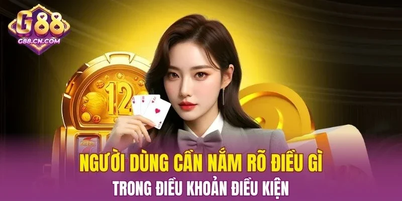 Người dùng cần nắm rõ điều gì trong Điều Khoản Điều Kiện