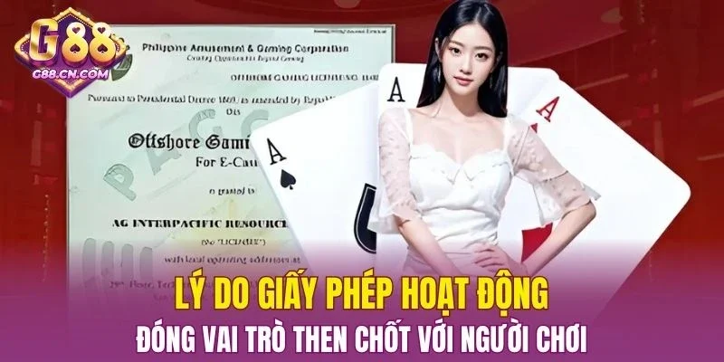 Vai trò then chốt của giấy phép đối với người chơi